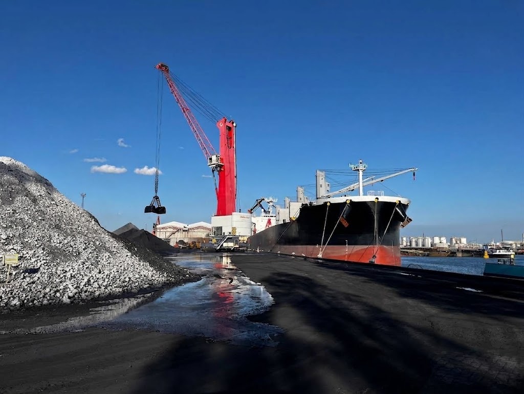 Petroleum Coke