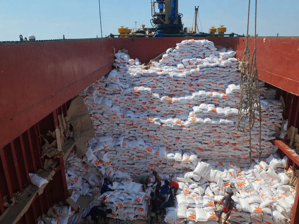 Bagged Rice